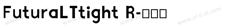 FuturaLTtight R字体转换